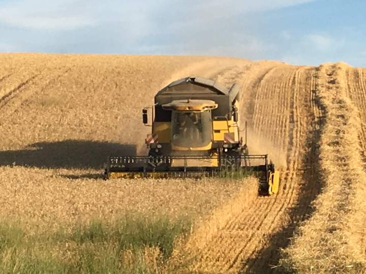 Travaux agricoles Paray-le-Monial